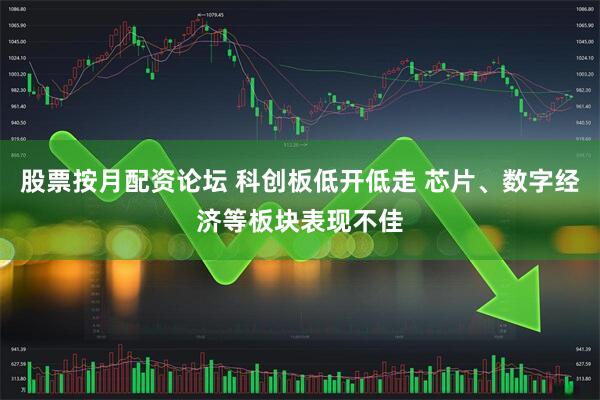 股票按月配资论坛 科创板低开低走 芯片、数字经济等板块表现不佳