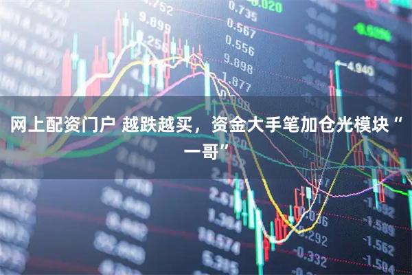 网上配资门户 越跌越买，资金大手笔加仓光模块“一哥”